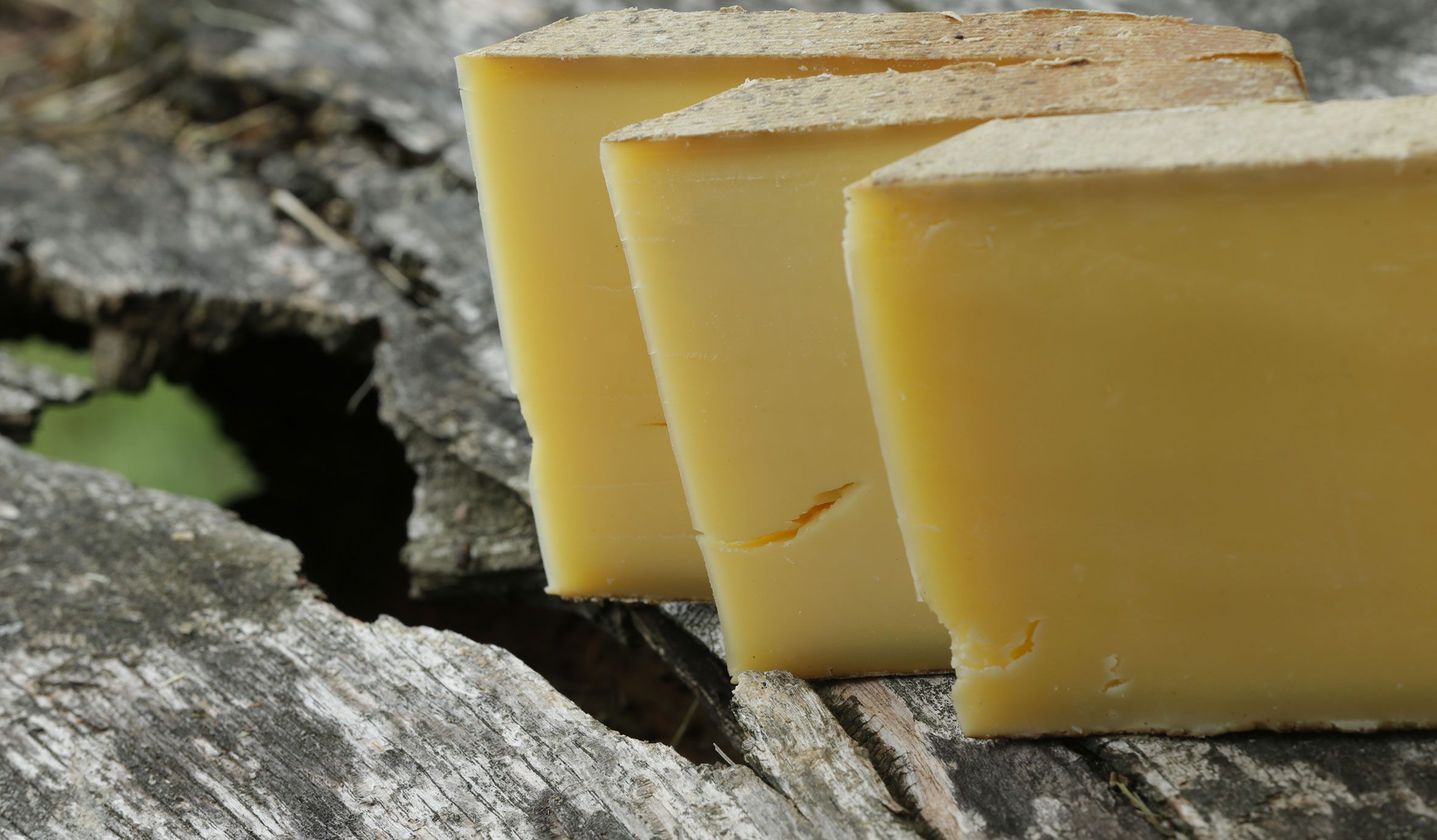 Jelitta Maitre Grotte