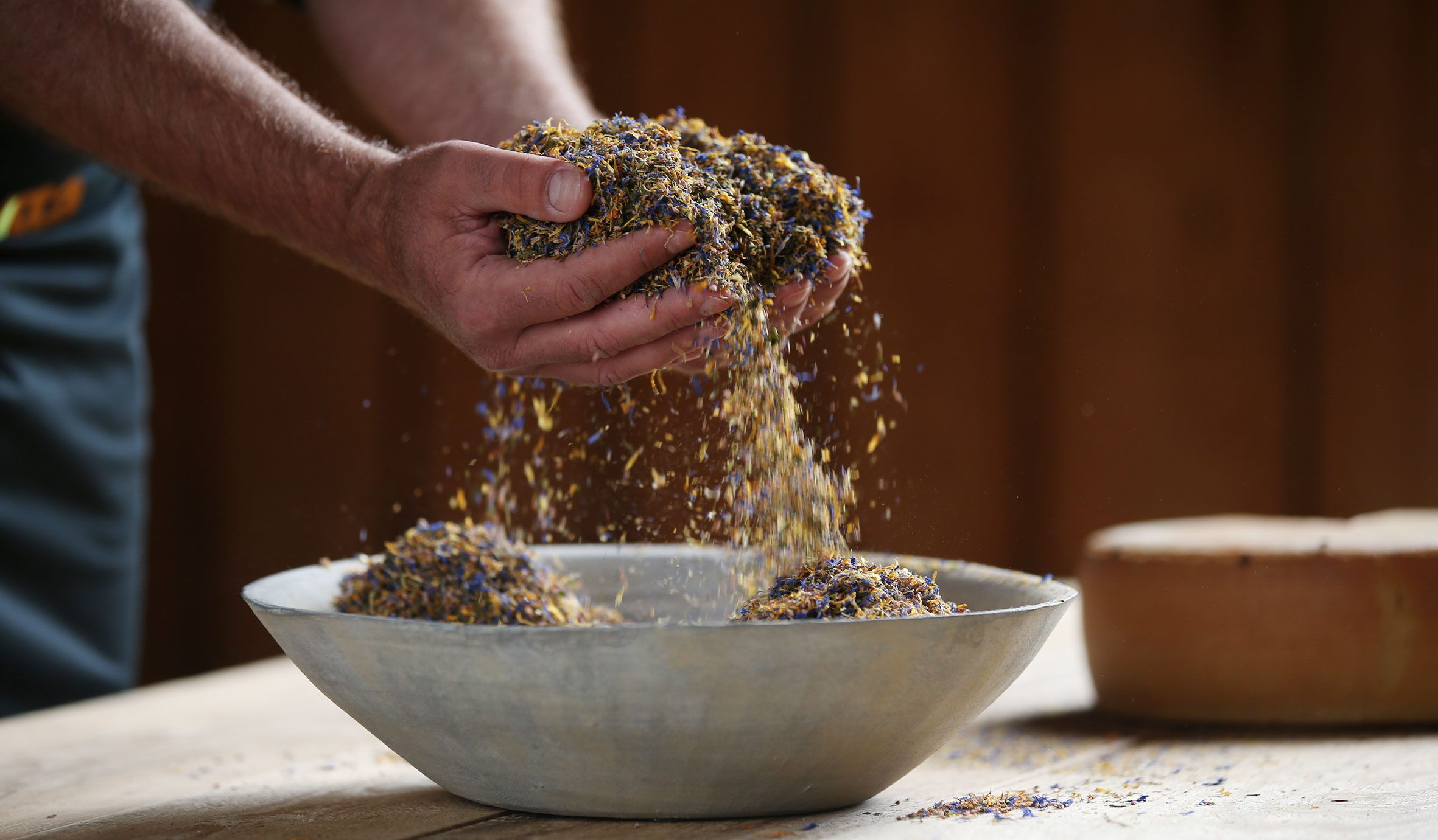 Jelitta Maitre Grotte