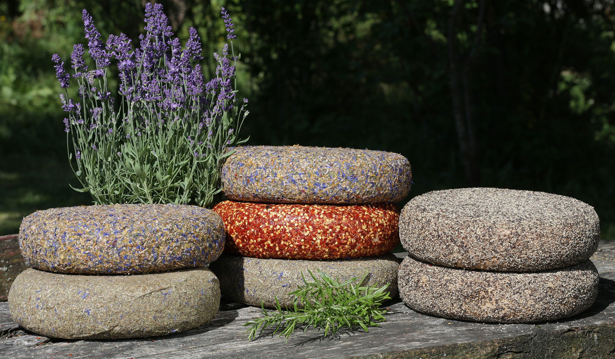 Jelitta Maitre Grotte