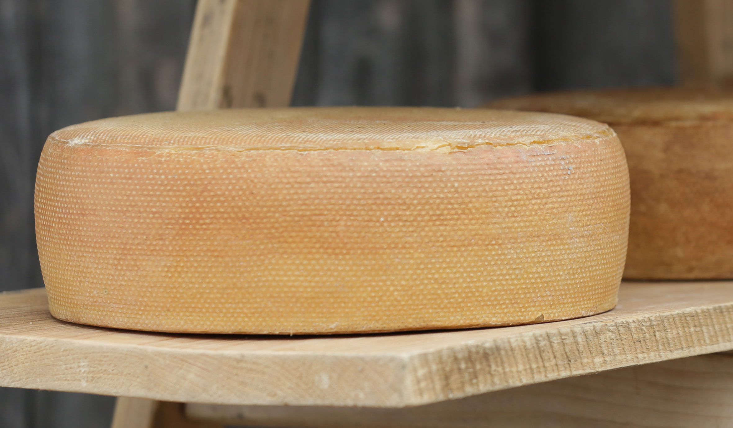 Jelitta Maitre Grotte